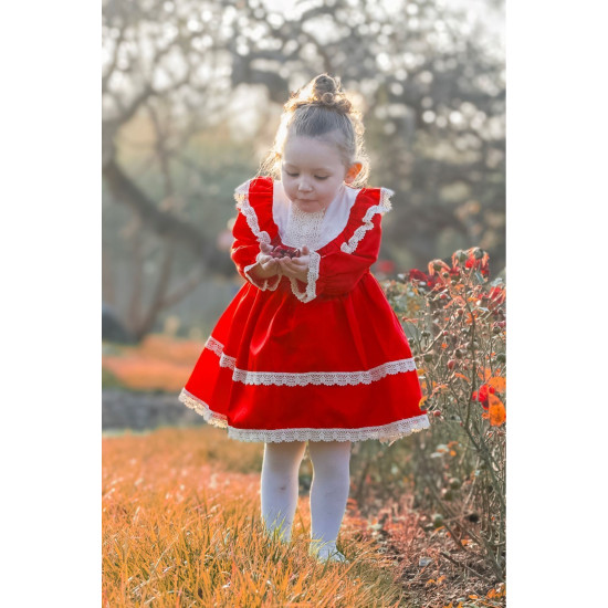 BabyAnimals Dantelli Saten Kız Çocuk Elbise Kırmızı