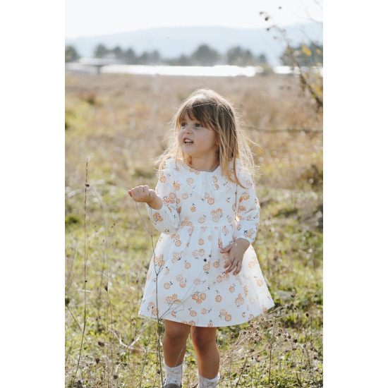 Bebek Kız Çocuk Doğum Günü Parti Düğün Elbise Astarlı Çocuk Giyim bebek giyim Kız