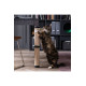 Doğal Sisal Kedi Tırmalama Halısı 60x30 Cm — Mobilya Koruma, Tırmalama Halısı