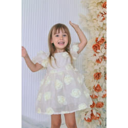 Kız Bebek Kız Çocuk Doğum Günü Parti Düğün Elbise Kısa Kol Tüllü Tütülü Tütü Astarlı