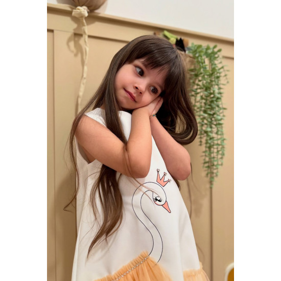 Kız Bebek Kız Çocuk Doğum Günü Parti Düğün Elbise Kolsuz Fırfırlı Tüllü Tütülü Tütü Astarlı