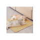 Doğal Sisal Kedi Tırmalama Matı 60x40 Cm Kedi Otlu Duva Zemin Mobilya Uyumlu Çok Yönlü Kullanım
