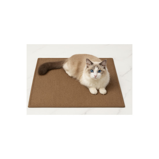 Doğal Sisal Kedi Tırmalama Matı 60x40 Cm Kedi Otlu Duva Zemin Mobilya Uyumlu Çok Yönlü Kullanım