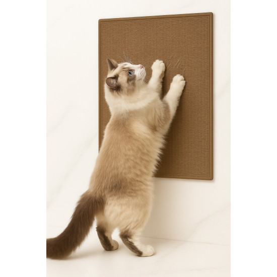 Doğal Sisal Kedi Tırmalama Matı 60x40 Cm Kedi Otlu Duva Zemin Mobilya Uyumlu Çok Yönlü Kullanım