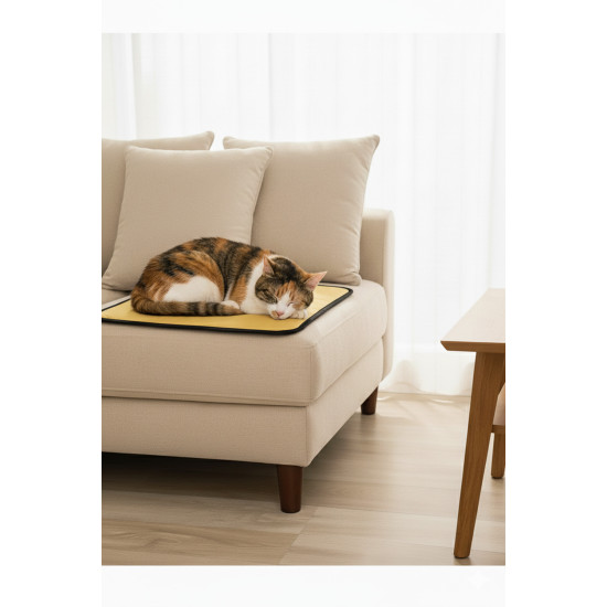 65×40 cm Kedi Matı — Çift Kat Süngerli, Paraşüt Kumaş, Sıvı & Tırmalamaya Dayanıklı, Yıkanabilir