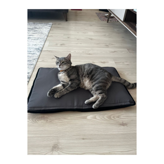 65×40 cm Kedi Matı — Çift Kat Süngerli, Paraşüt Kumaş, Sıvı & Tırmalamaya Dayanıklı, Yıkanabilir