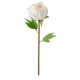 ikea-smycka-yapay-çiçek-30-cm-beyaz