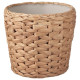 ikea-fridfull-rattan-saksı-12-cm-su-sümbülü