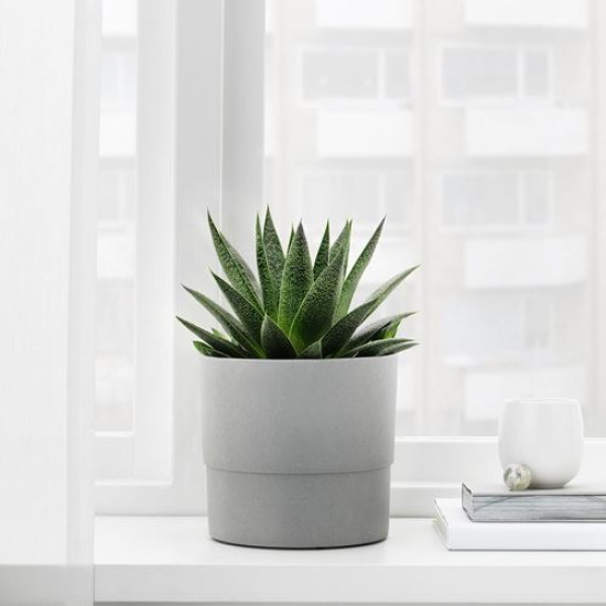 ikea-nypon-plastik-saksı-15-cm-gri-gri