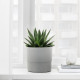 ikea-nypon-plastik-saksı-15-cm-gri-gri