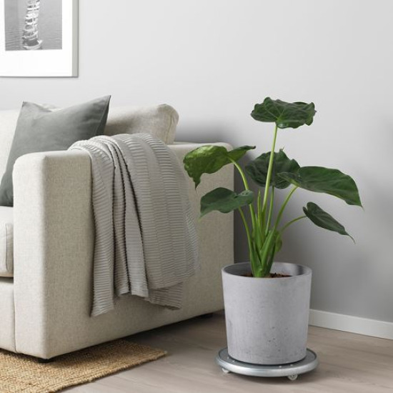 ikea-boysenb-r-beton-saksı-24-cm-açık-gri-açık-gri