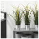 IKEA FEJKA - yapay bitki, 9 cm (yeşil)