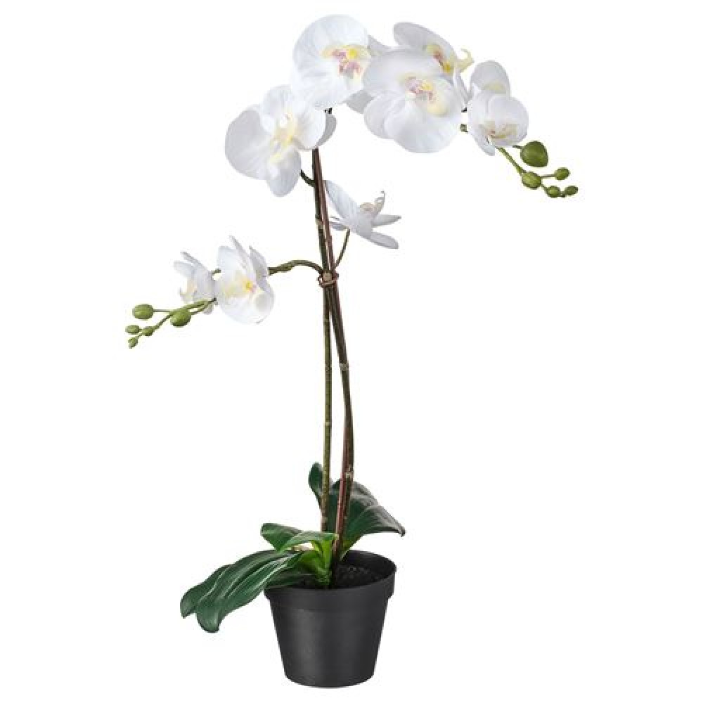IKEA FEJKA - yapay bitki, 12 cm (beyaz)
