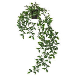 IKEA FEJKA - yapay bitki, 9 cm (yeşil)