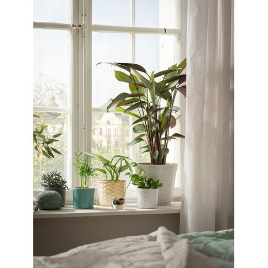 IKEA CHIAFRÖN - seramik saksı, 9 cm (beyaz)