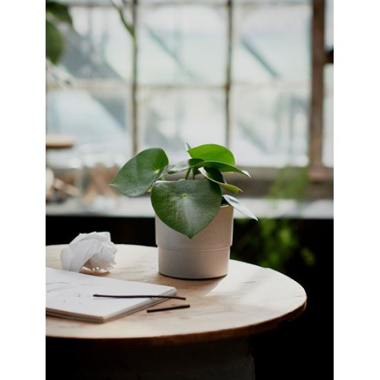 ikea-nypon-plastik-saksı-12-cm-gri-gri