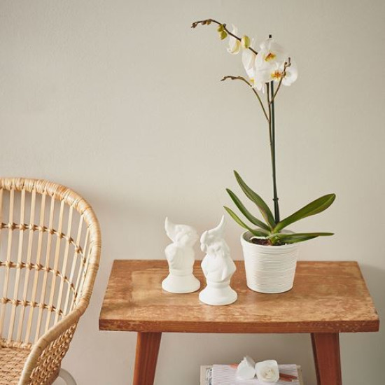 ikea-pekannöt-rattan-saksı-12-cm-rattan-rattan
