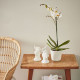 ikea-pekannöt-rattan-saksı-12-cm-rattan-rattan