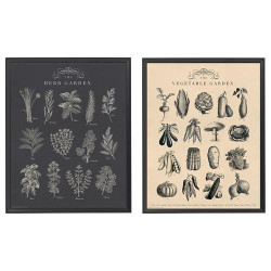 IKEA KNOPPÄNG - çerçeveli resim seti, 40x50 cm (çok renkli)