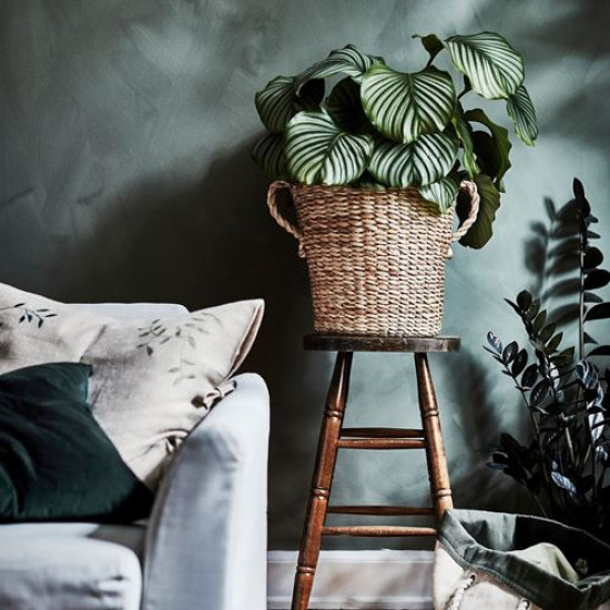ikea-törnb-r-rattan-saksı-32-cm-muz-lifi