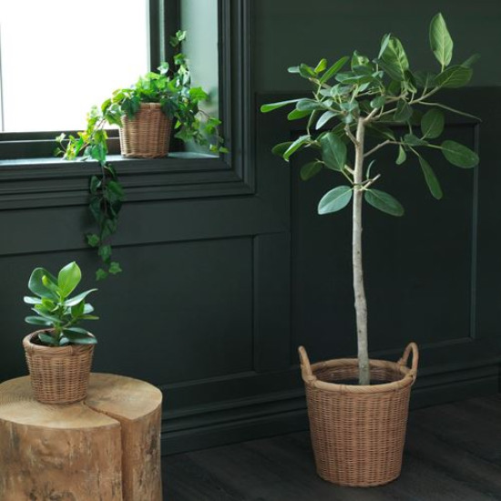 ikea-kaktusfikon-rattan-saksı-24-cm-rattan-rattan