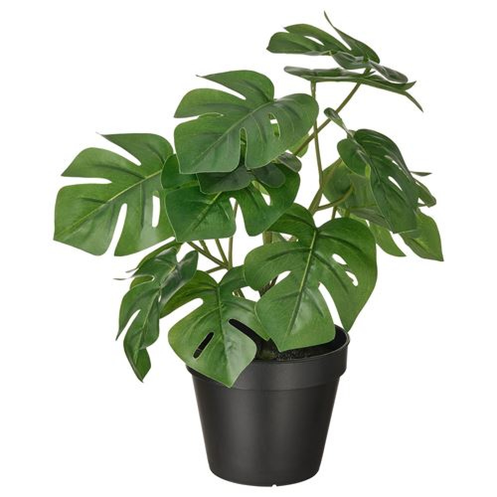 IKEA FEJKA - yapay bitki, 12 cm (yeşil)