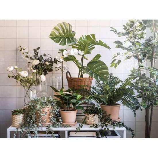 IKEA FEJKA - yapay bitki, 19 cm (yeşil)