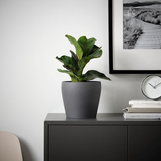 ikea-persillade-toprak-saksı-15-cm-koyu-gri-koyu-gri