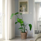 ikea-flodbjörk-plastik-saksı-24-cm-açık-gri-kahverengi-açık-gri-kahverengi