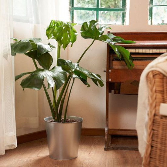 IKEA ÅKERBÄR - çelik saksı, 24 cm (galvanizli)