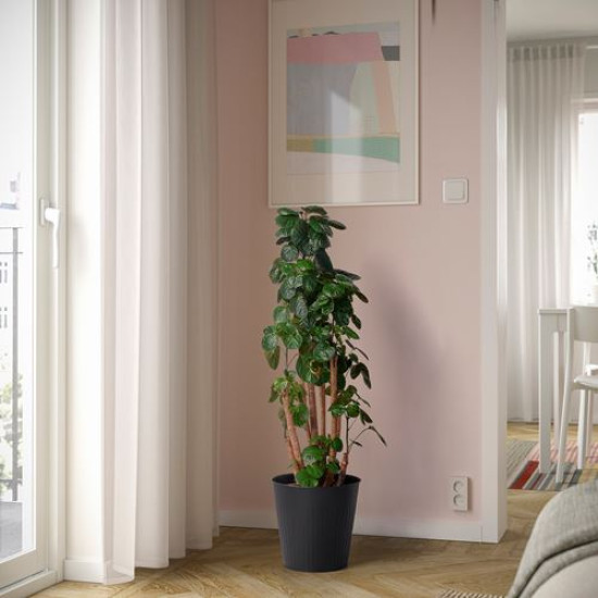 ikea-citronmeliss-çelik-saksı-24-cm-antrasit