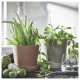 ikea-klarb-r-toprak-saksı-12-cm-kahverengi-kahverengi