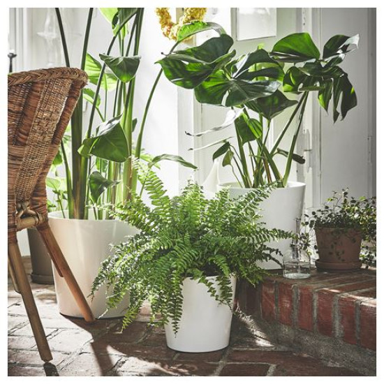 ikea-sojaböna-toprak-saksı-32-cm-beyaz-beyaz