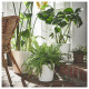 ikea-sojaböna-toprak-saksı-32-cm-beyaz-beyaz