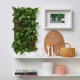 ikea-fejka-yapay-bitki-26x26-cm-yeşil-yeşil