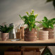 ikea-hasselbukett-seramik-saksı-15-cm-yeşil-kahverengi