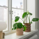 ikea-hasselbukett-seramik-saksı-12-cm-bej-bej