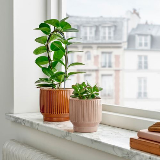 ikea-honungspalm-seramik-saksı-9-cm-bej-bej