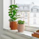ikea-honungspalm-seramik-saksı-9-cm-bej-bej