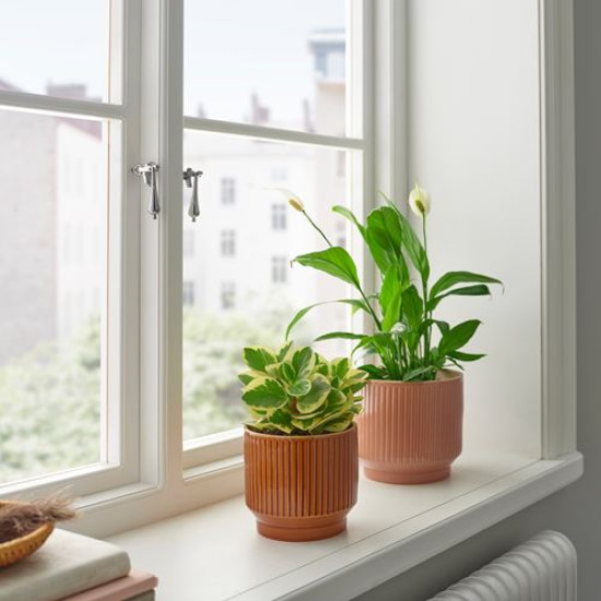 ikea-honungspalm-seramik-saksı-12-cm-kahverengi