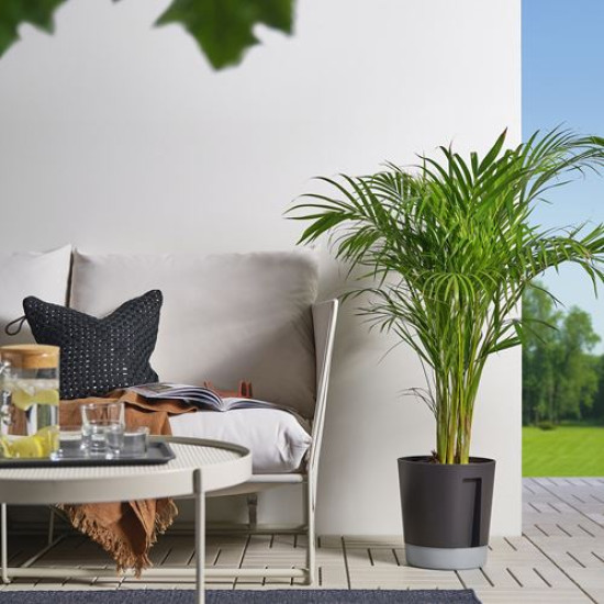 ikea-vardtrad-sulama-düzenekli-saksı-24-cm-antrasit-antrasit
