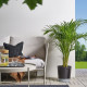 ikea-vardtrad-sulama-düzenekli-saksı-24-cm-antrasit-antrasit