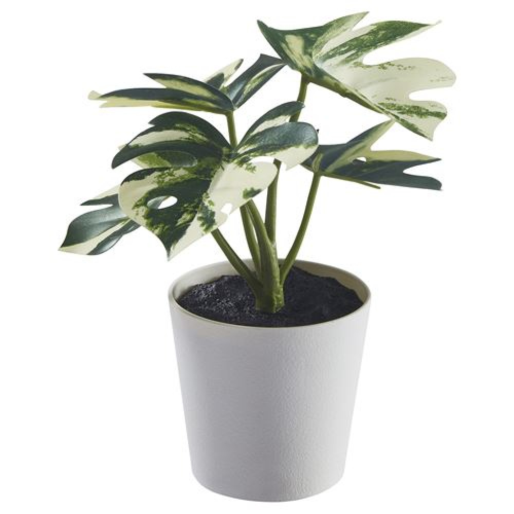 IKEA FEJKA - saksılı yapay bitki, 6 cm (yeşil)