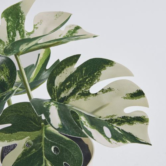 IKEA FEJKA - saksılı yapay bitki, 6 cm (yeşil)