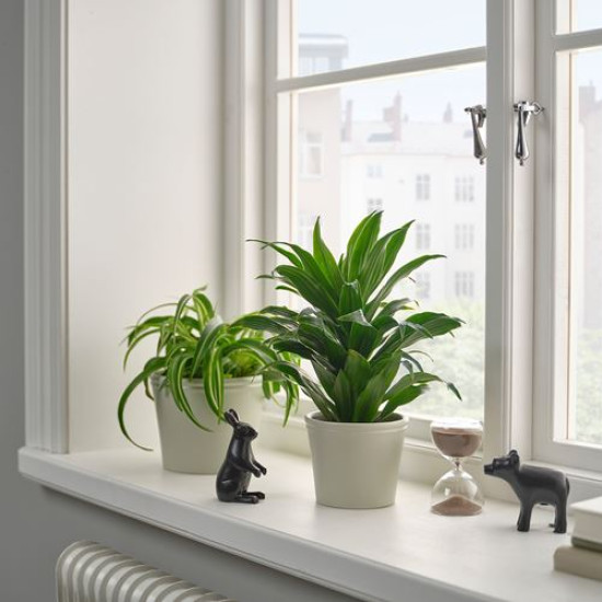 ikea-körsbarsbjörk-toprak-saksı-9-cm-açık-gri-bej-açık-gri-bej