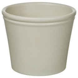 IKEA KÖRSBARSBJÖRK - toprak saksı, 9 cm (açık gri-bej)