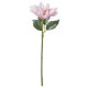 ikea-smycka-yapay-çiçek-30-cm-pembe-pembe