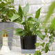ikea-vardtrad-sulama-düzenekli-saksı-12-cm-antrasit-antrasit
