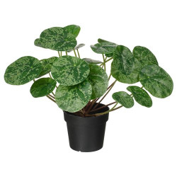 IKEA FEJKA - yapay bitki, 9 cm (yeşil)