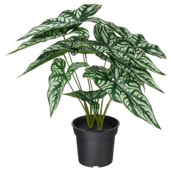 IKEA FEJKA - yapay bitki, 15 cm (yeşil)